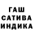Каннабис сатива Bekjan BAIS