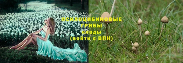 PSILOCYBIN Волгодонск