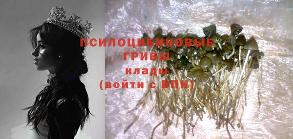 амф Великий Новгород