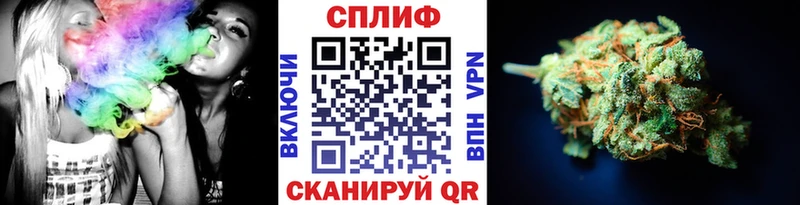 Конопля марихуана  где купить наркоту  Болхов 